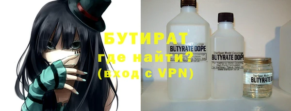 сатива Галич