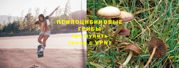 наркотики Гвардейск