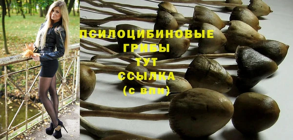 соль курить ск Покачи
