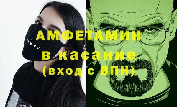сатива Галич