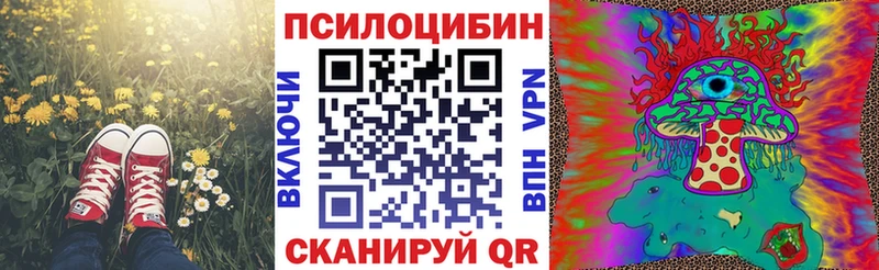 Псилоцибиновые грибы ЛСД Туринск